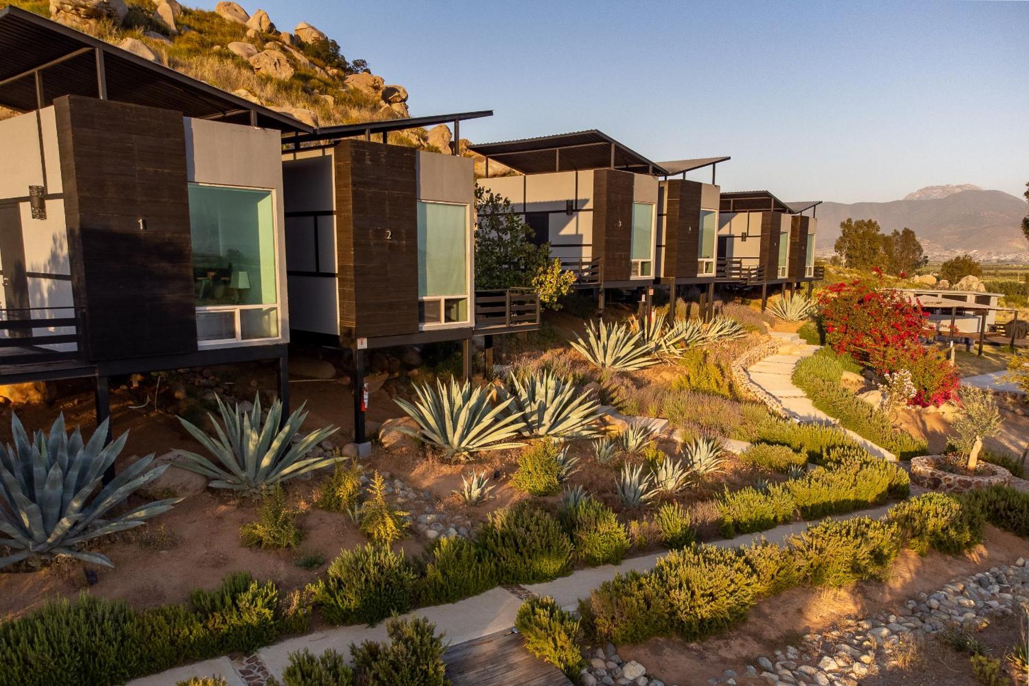 Atika Retreat Otel Valle de Guadalupe Dış mekan fotoğraf