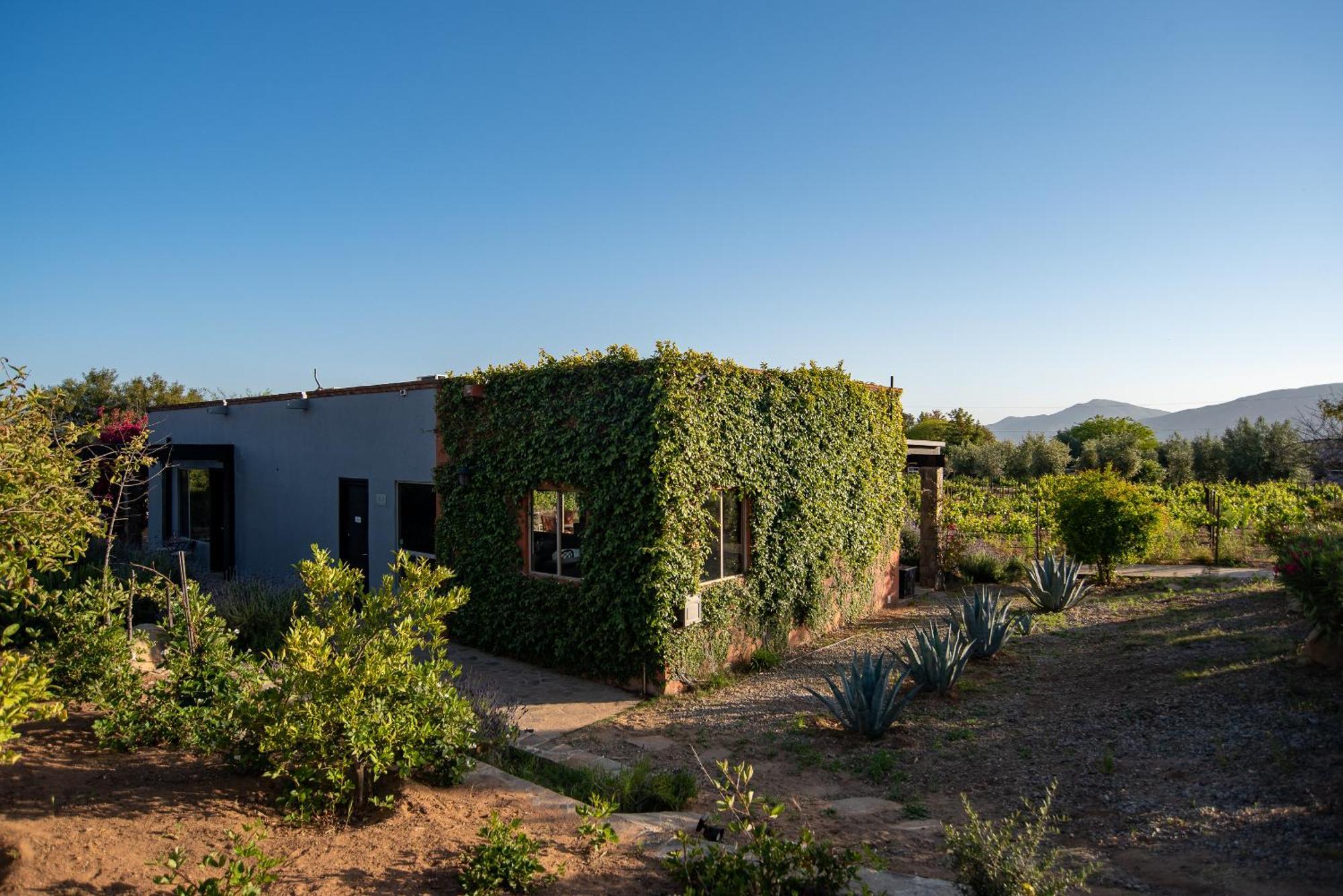 Atika Retreat Otel Valle de Guadalupe Dış mekan fotoğraf